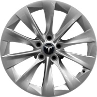 TESLA MODEL S ZILVER